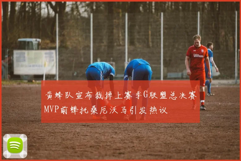 黄蜂队宣布裁掉上赛季G联盟总决赛MVP前锋托桑厄沃马引发热议