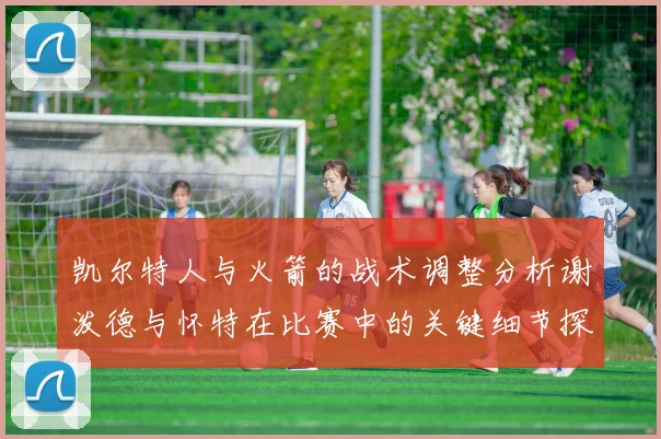 凯尔特人与火箭的战术调整分析谢泼德与怀特在比赛中的关键细节探讨